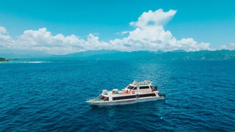 Wahana Virendra fast boat